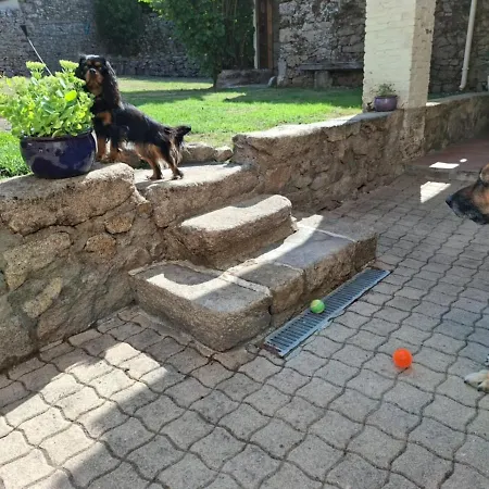 Le Cordonnier D'autrefois - 15 Minutes Du Puy Du Fou *