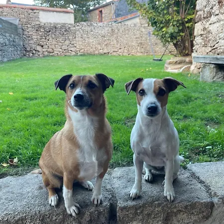 Tatil Evi Le Cordonnier D'autrefois - 15 Minutes Du Puy Du Fou Mortagne-sur-Sevre