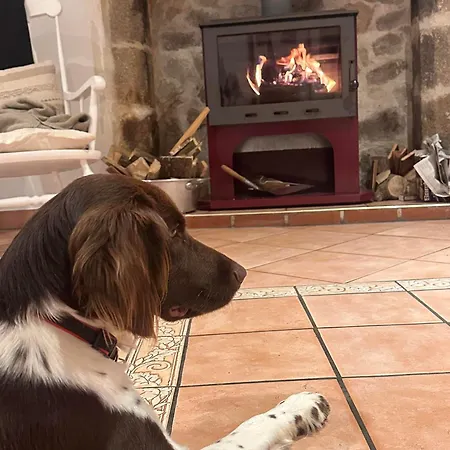 Le Cordonnier D'autrefois - 15 Minutes Du Puy Du Fou *