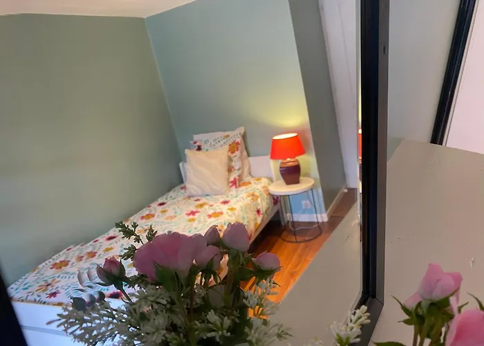 Le Cordonnier D'autrefois - 15 Minutes Du Puy Du Fou * Mortagne-sur-Sevre