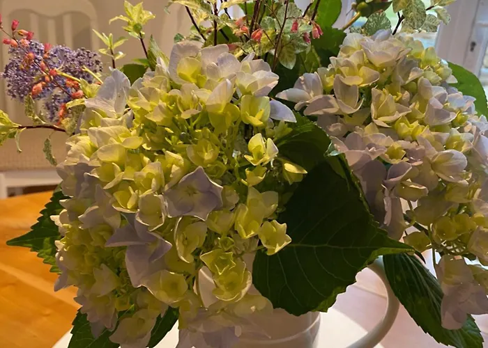 Le Cordonnier D'autrefois - 15 Minutes Du Puy Du Fou 度假居 *