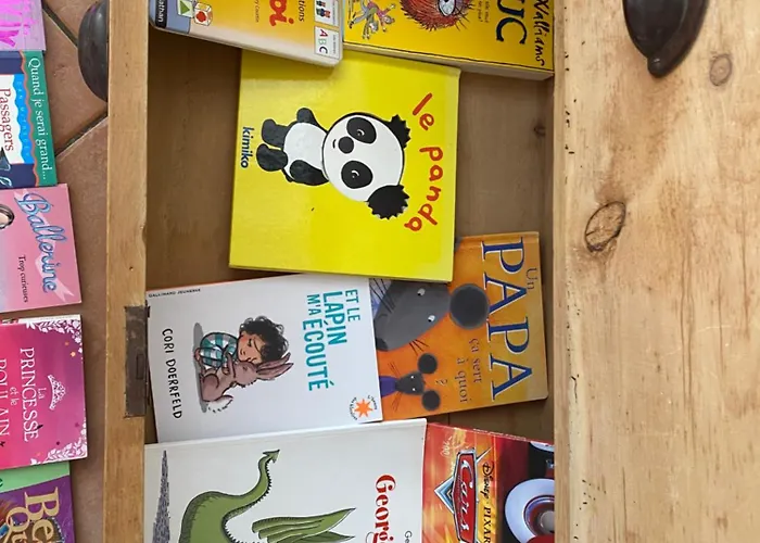 Le Cordonnier D'autrefois - 15 Minutes Du Puy Du Fou *