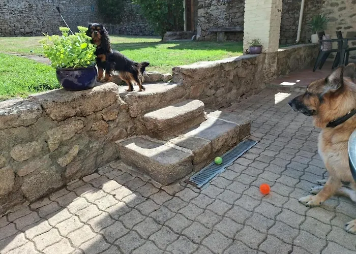 Le Cordonnier D'autrefois - 15 Minutes Du Puy Du Fou *