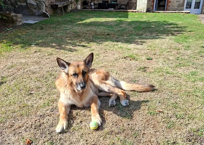 Le Cordonnier D'autrefois - 15 Minutes Du Puy Du Fou *