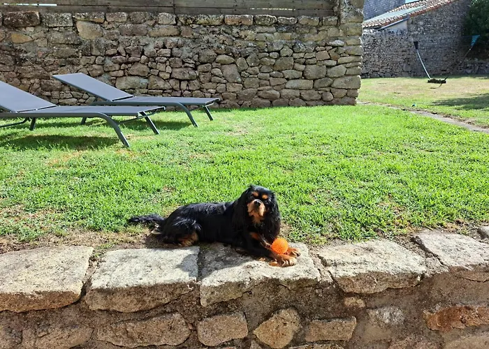Le Cordonnier D'autrefois - 15 Minutes Du Puy Du Fou Mortagne-sur-Sevre