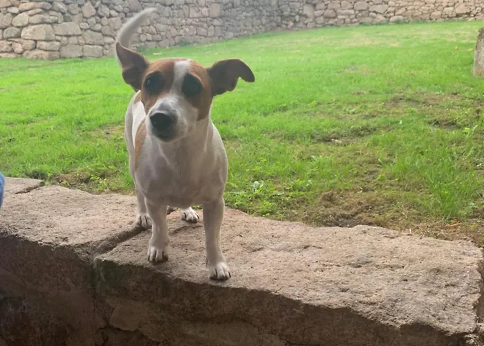Le Cordonnier D'autrefois - 15 Minutes Du Puy Du Fou *
