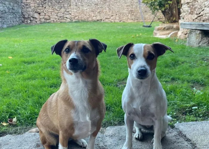 度假居 Le Cordonnier D'autrefois - 15 Minutes Du Puy Du Fou Mortagne-sur-Sevre