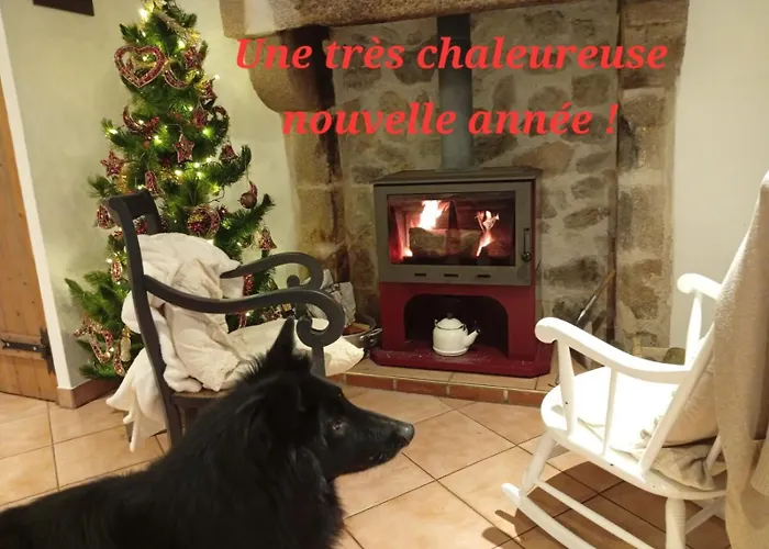 Le Cordonnier D'autrefois - 15 Minutes Du Puy Du Fou * Mortagne-sur-Sevre